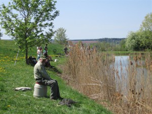6386365033cea2012_koenigsfischen05.jpg